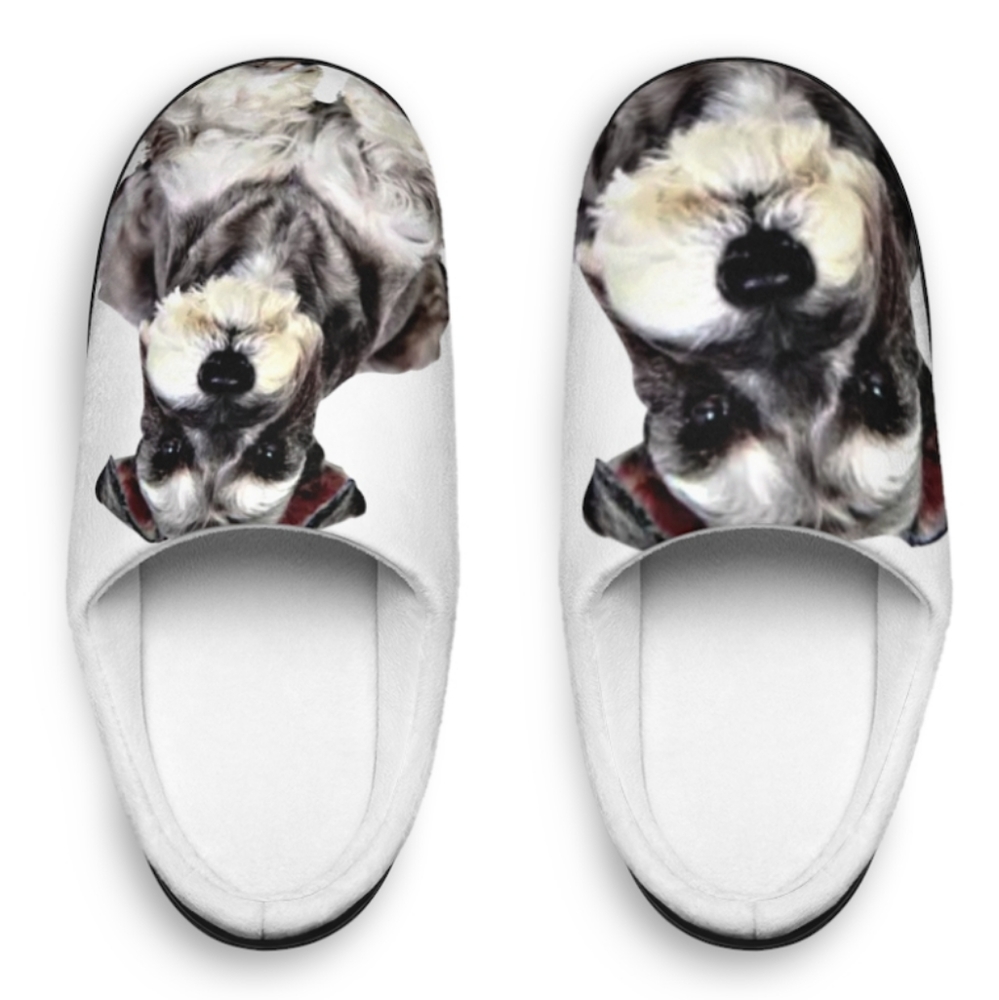Miniature Schnauzer slippers
